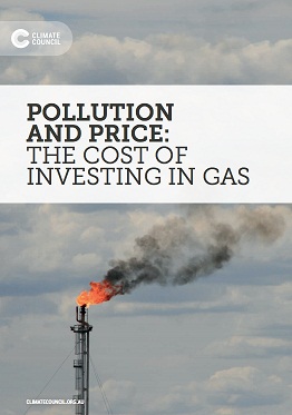 Pollution and price: the cost of investing in gas 